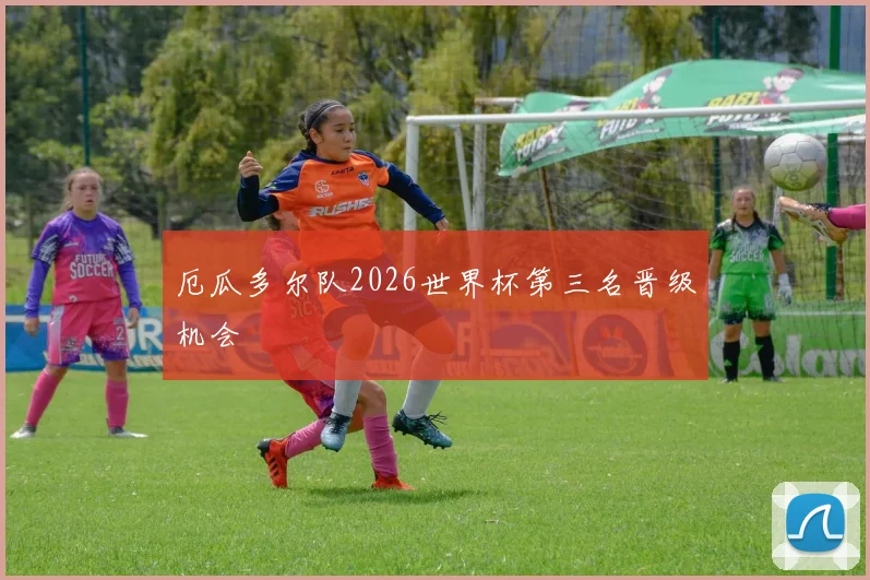 厄瓜多尔队2026世界杯第三名晋级机会