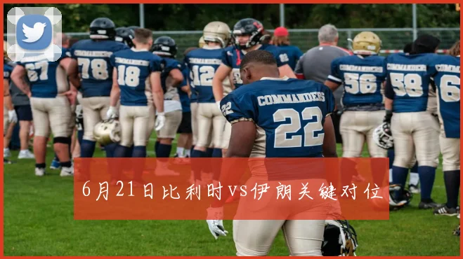 6月21日比利时vs伊朗关键对位