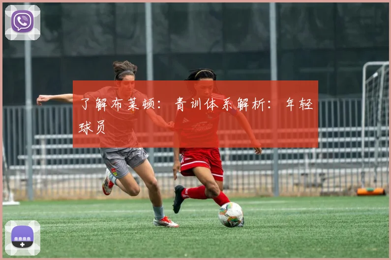 了解布莱顿：青训体系解析：年轻球员