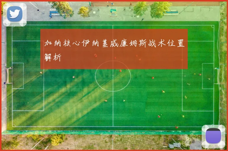 加纳核心伊纳基威廉姆斯战术位置解析
