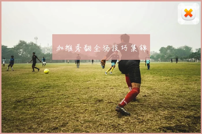 加维秀翻全场技巧集锦