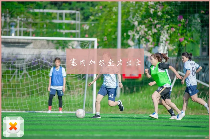 塞内加尔全力出击