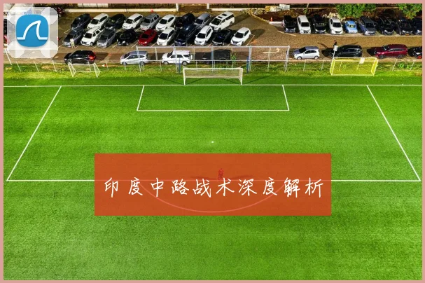 印度中路战术深度解析