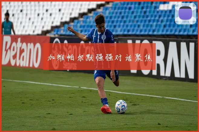 加维帕尔默强强对话聚焦