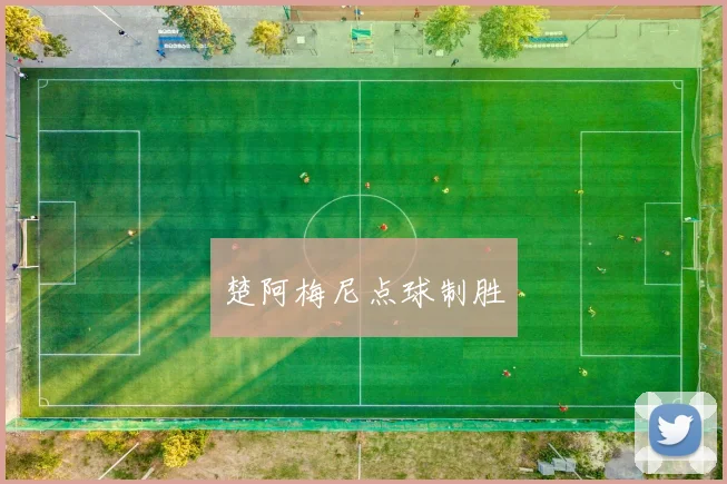 楚阿梅尼点球制胜