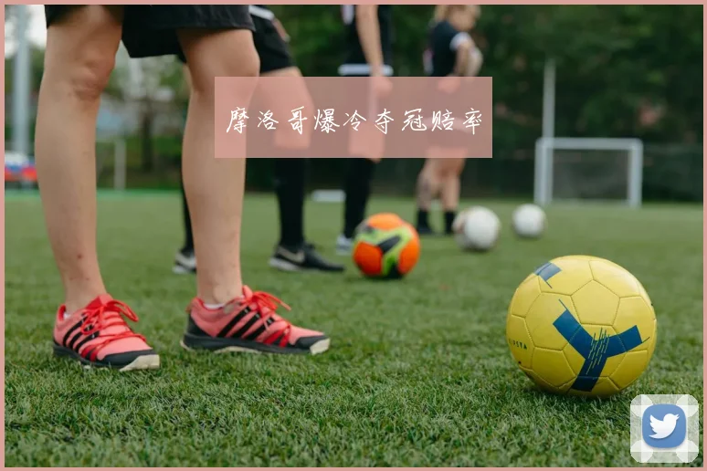 摩洛哥爆冷夺冠赔率