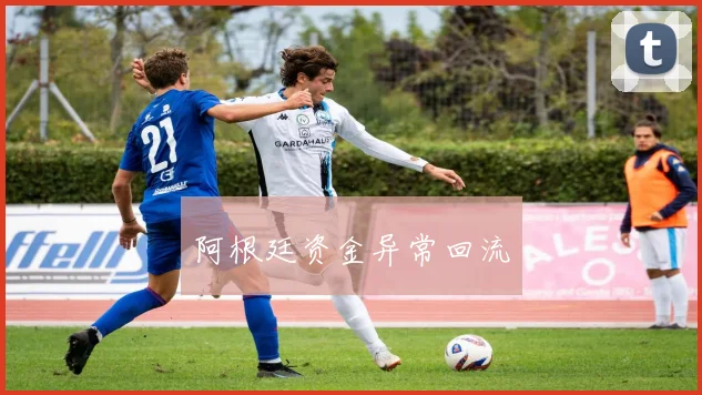 阿根廷资金异常回流