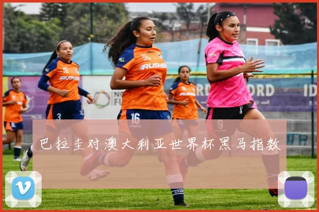 巴拉圭对澳大利亚世界杯黑马指数
