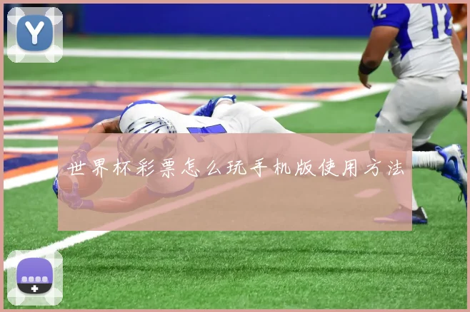 世界杯彩票怎么玩手机版使用方法