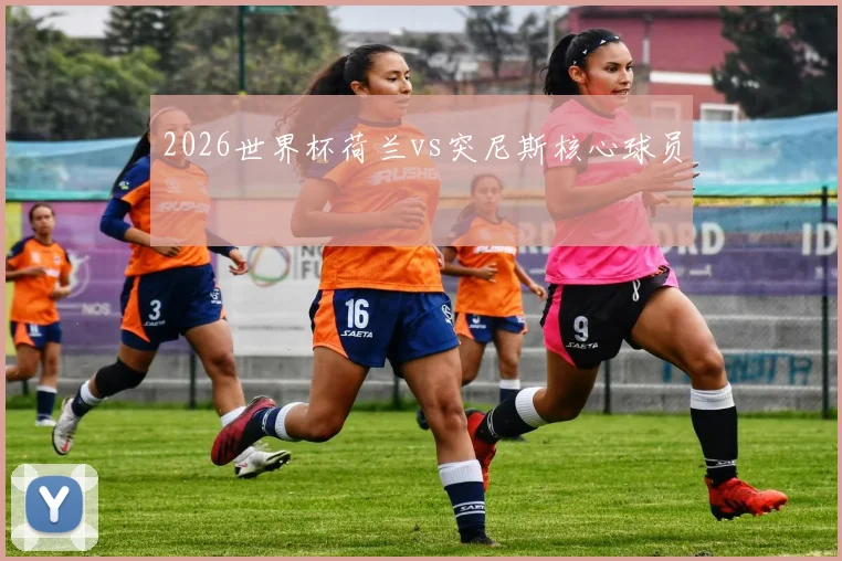 2026世界杯荷兰vs突尼斯核心球员